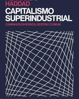 Capitalismo superindustrial: Caminhos diversos, destino comum