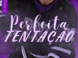 Perfeita Tentação (Os Babacas do Hóquei Livro 2)